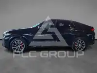 2023 BMW X6