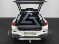 2023 BMW X6