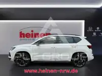 2023 Cupra Other