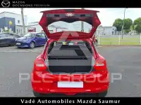 2023 Suzuki SWIFT