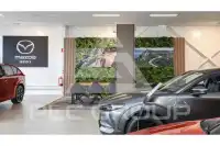 2023 Suzuki Vitara