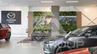 2023 Mazda 2 (Demio)