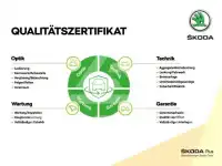 2023 Skoda Octavia