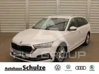 2023 Skoda Octavia