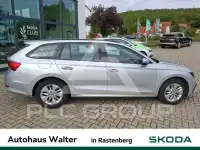 2023 Skoda Octavia