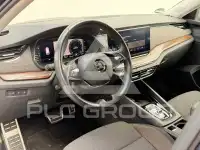 2023 Skoda Octavia