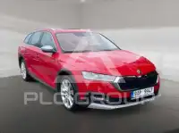 2023 Skoda Octavia