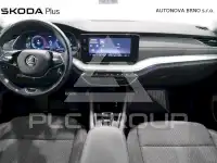 2023 Skoda Octavia