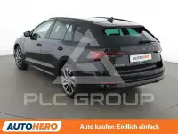 2023 Skoda Octavia