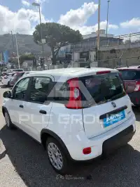2023 Fiat Panda