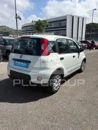 2023 Fiat Panda