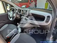 2023 Fiat Panda