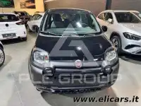 2023 Fiat Panda