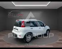 2023 Fiat Panda