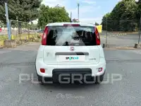 2023 Fiat Panda