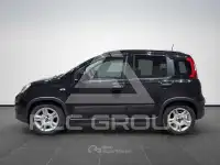 2023 Fiat Panda