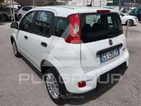 2023 Fiat Panda