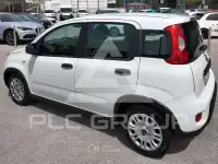 2023 Fiat Panda