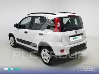 2023 Fiat Panda