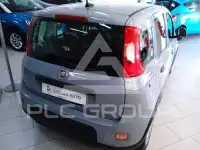 2023 Fiat Panda