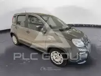 2023 Fiat Panda