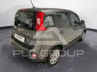 2023 Fiat Panda