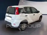 2023 Fiat Panda