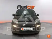 2023 Fiat Panda