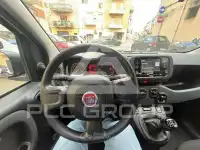 2023 Fiat Panda