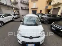 2023 Fiat Panda