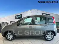 2023 Fiat Panda