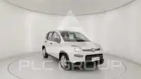 2023 Fiat Panda