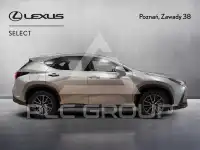 2023 Lexus NX