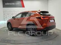 2023 Lexus NX
