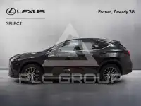 2023 Lexus NX
