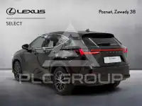 2023 Lexus NX