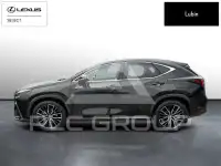 2023 Lexus NX