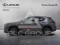 2023 Lexus NX