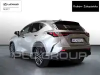 2023 Lexus NX