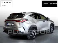 2023 Lexus NX