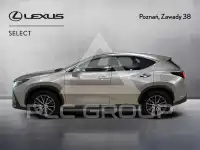2023 Lexus NX