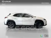 2023 Lexus UX