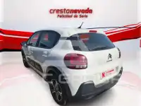 2023 Citroen C3