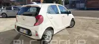2023 KIA Picanto