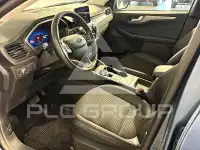 2023 Ford Kuga