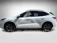 2023 Ford Kuga