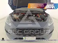 2023 Ford Kuga