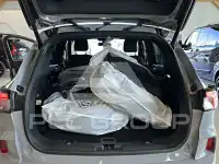 2023 Ford Kuga