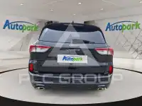 2023 Ford Kuga