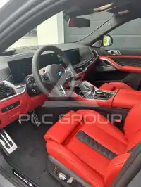 2024 BMW X6